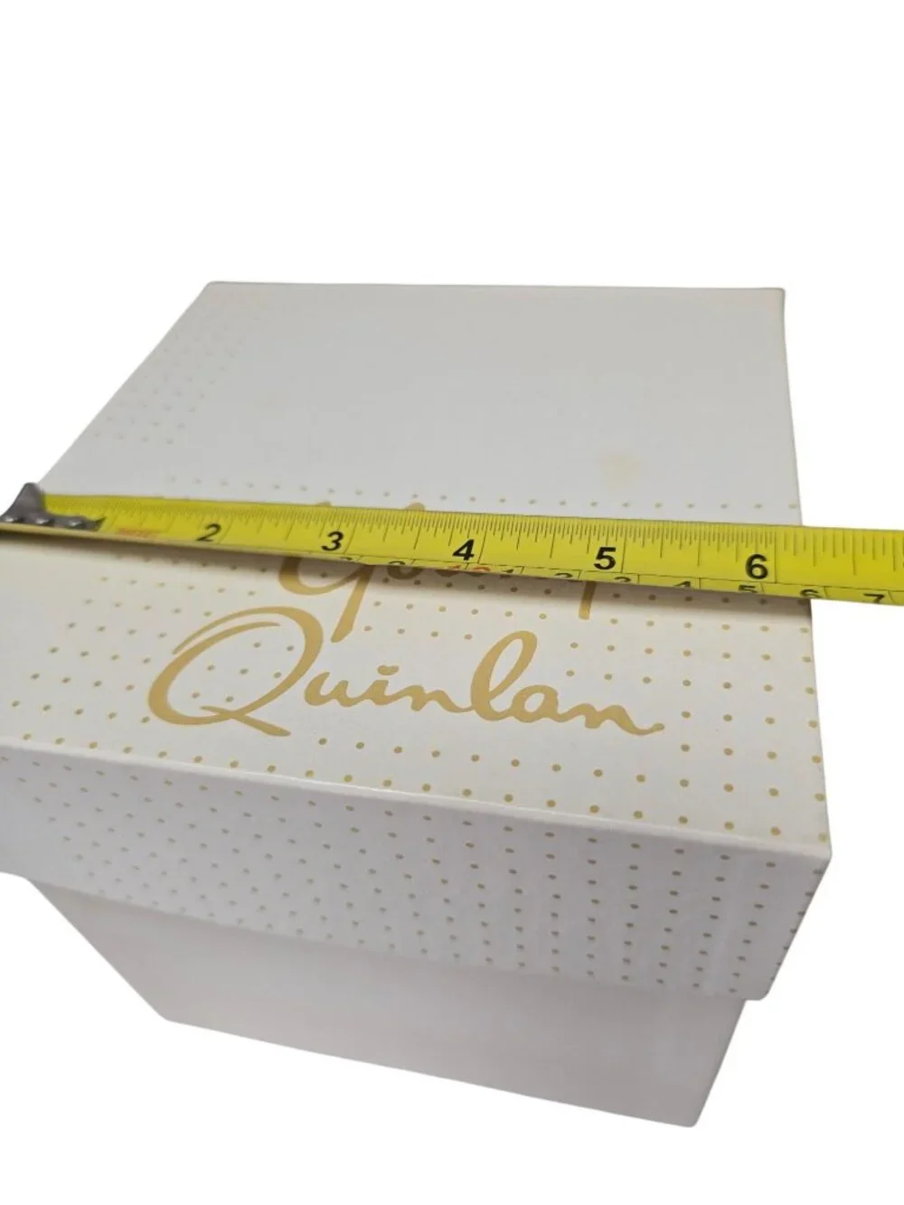 Vintage Young & Quinlan Dept Store Box Minneapolis Advertising 6.25